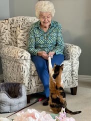 An older adult smiles while interacting with a calico cat in a cozy living space. The image highlights the comfort, companionship, and joy that pet visits can bring, supporting meaningful engagement and emotional well-being.